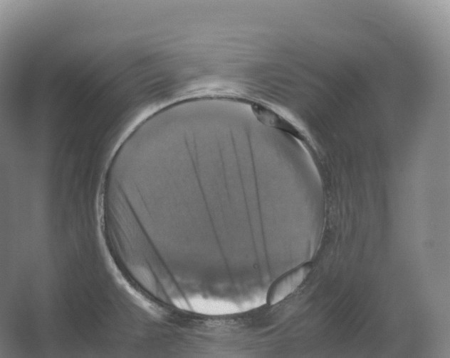 X0000066541383200604141854