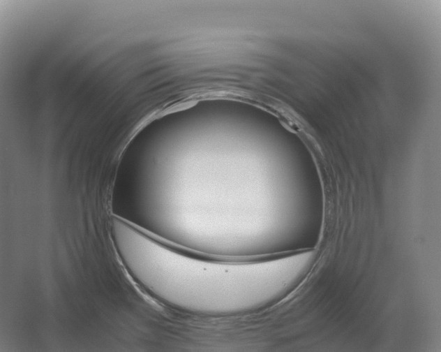 X0000066541385200604141854