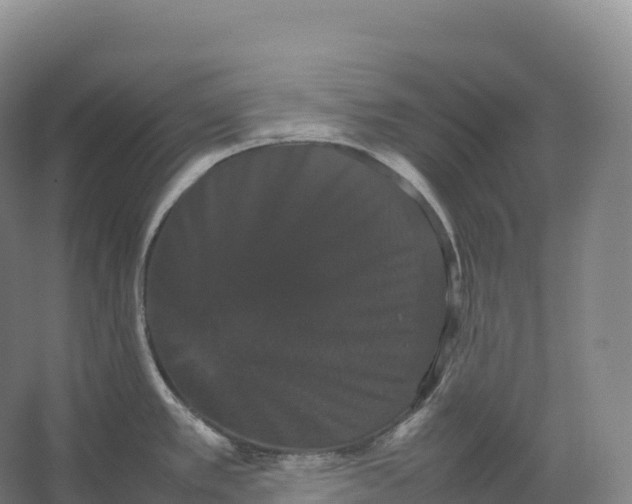 X0000066541389200604141854