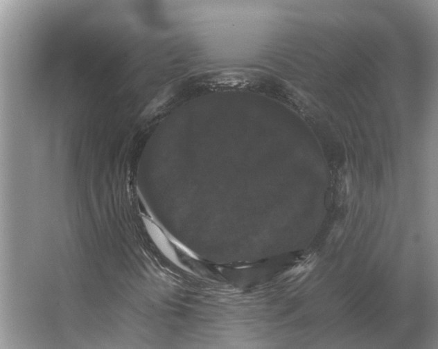 X0000066541394200604141853