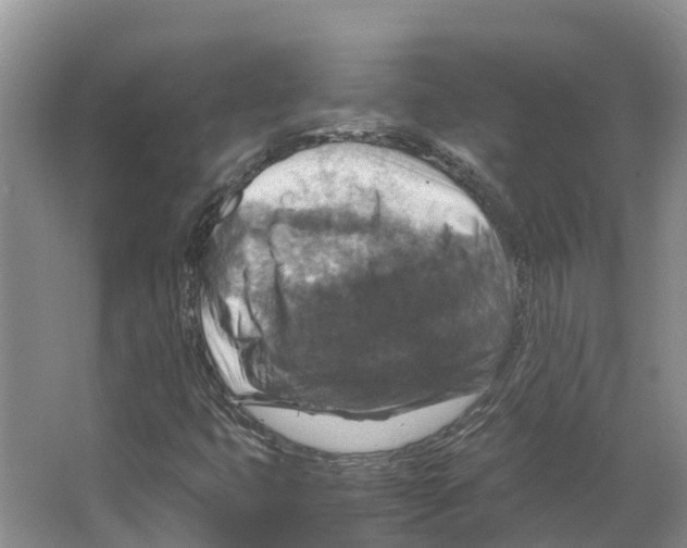 X0000066541399200604141853