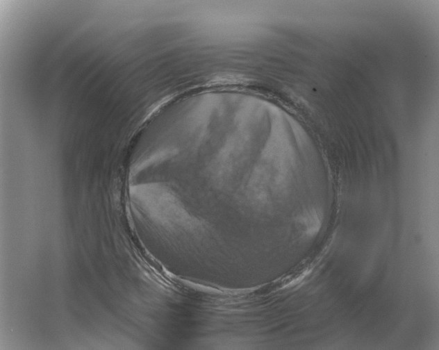 X0000066541401200604141853