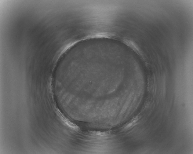X0000066541404200604141853
