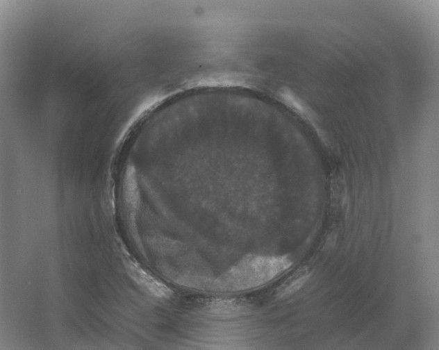 X0000066541408200604141853