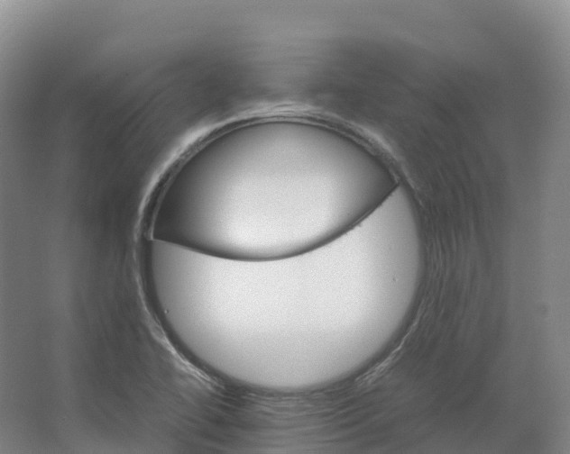 X0000066541414200604141854