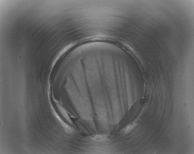 X0000066541418200604141854