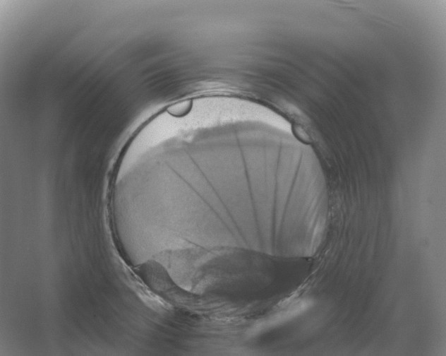 X0000066541427200604141854