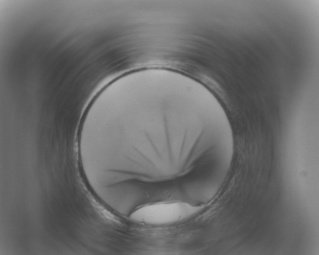 X0000066541428200604141854
