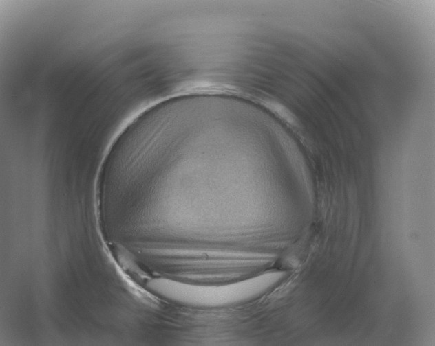 X0000066541430200604141854