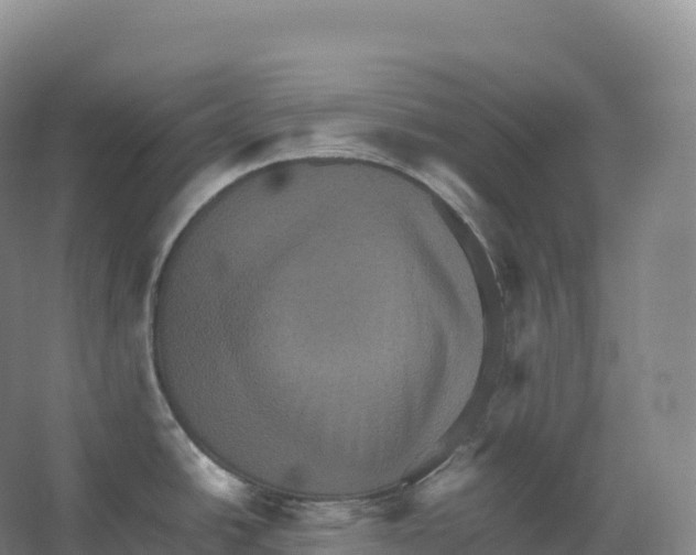 X0000066541438200604141854