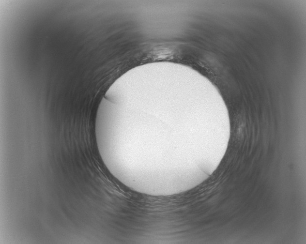 X0000066541442200604141853