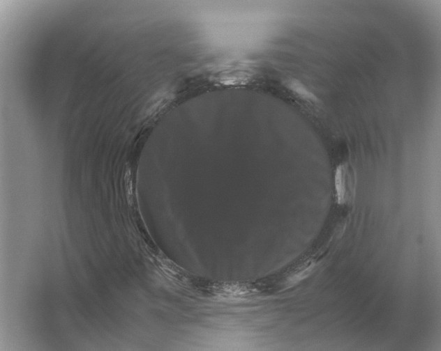 X0000066541443200604141853