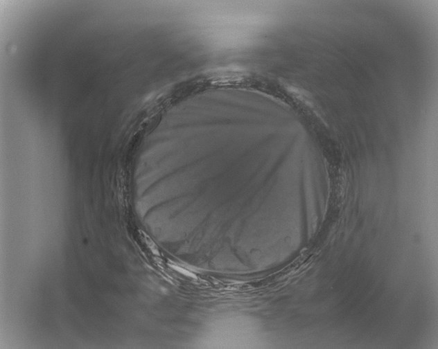 X0000066541445200604141853