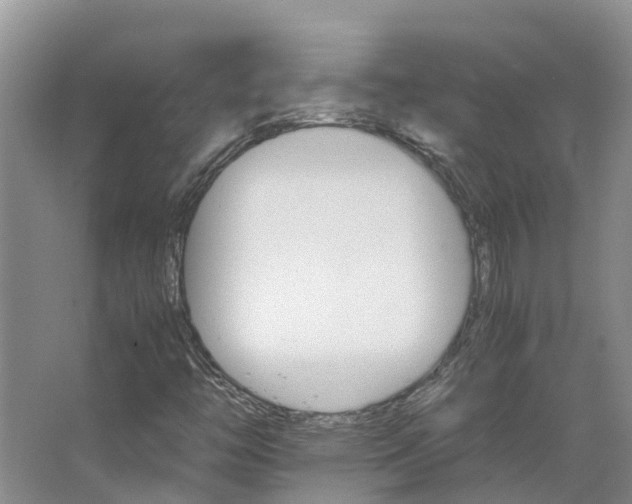 X0000066541446200604141853