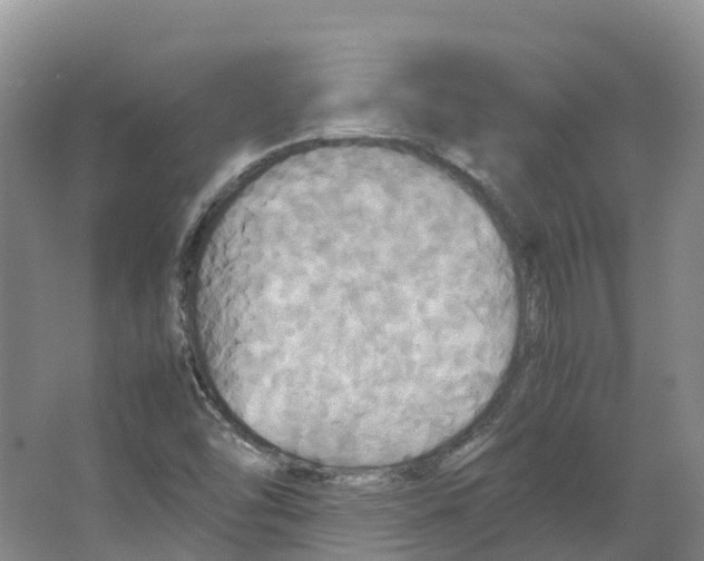X0000066541454200604141853