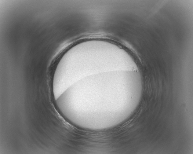 X0000066541456200604141853