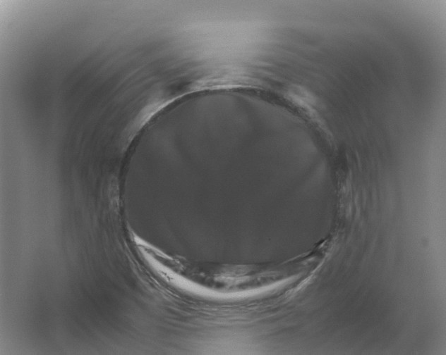 X0000066541457200604141853