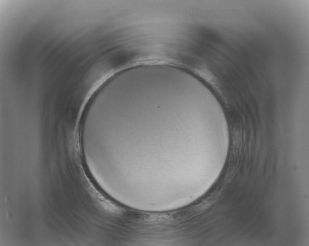 X0000066541466200604141853
