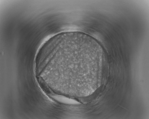 X0000066541472200604141853