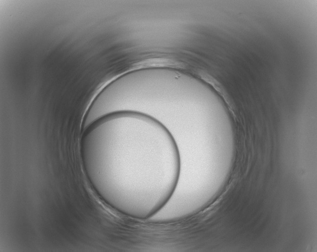 X0000066541473200604141853