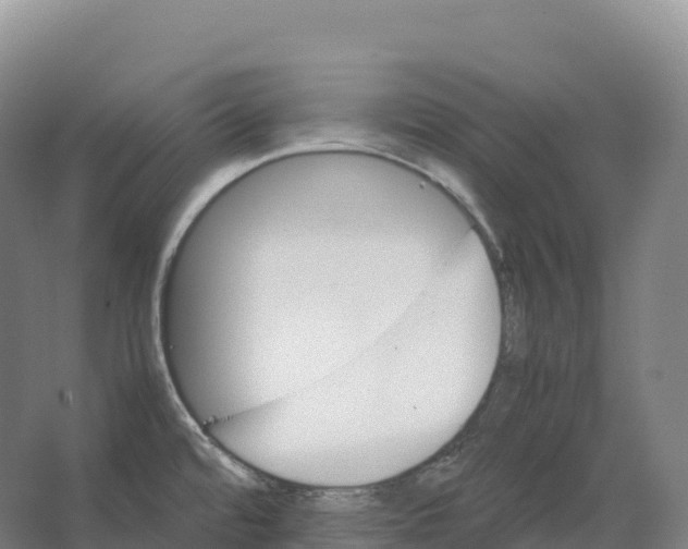 X0000066541480200604141853