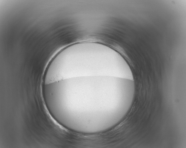 X0000066541484200604141852
