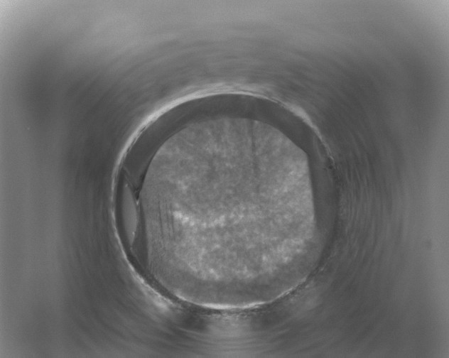 X0000066541508200604141852