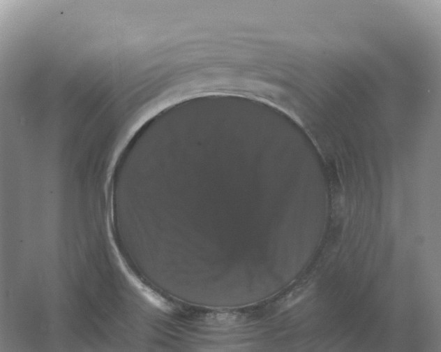 X0000066541515200604141852
