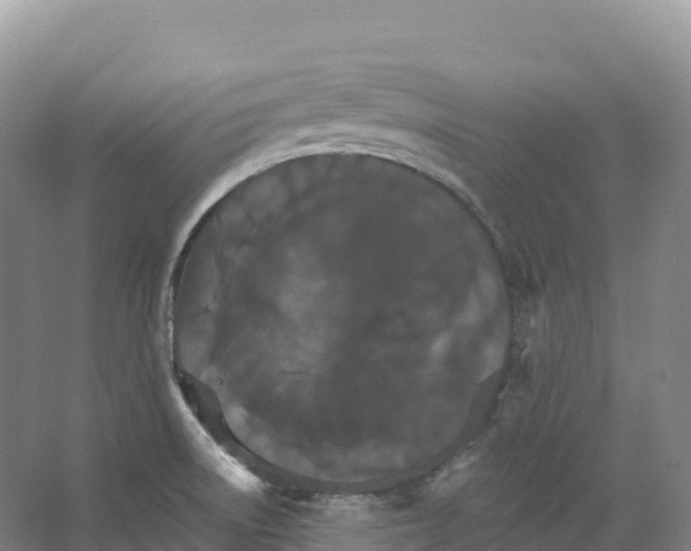 X0000066541522200604141852