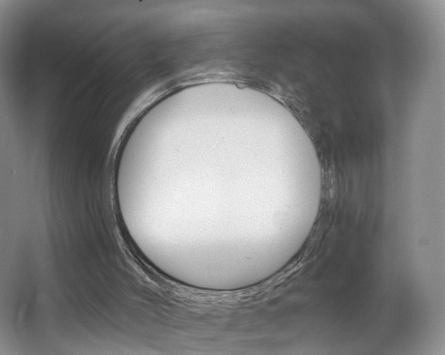 X0000066930004200603240921