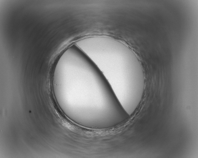 X0000066930005200603240921