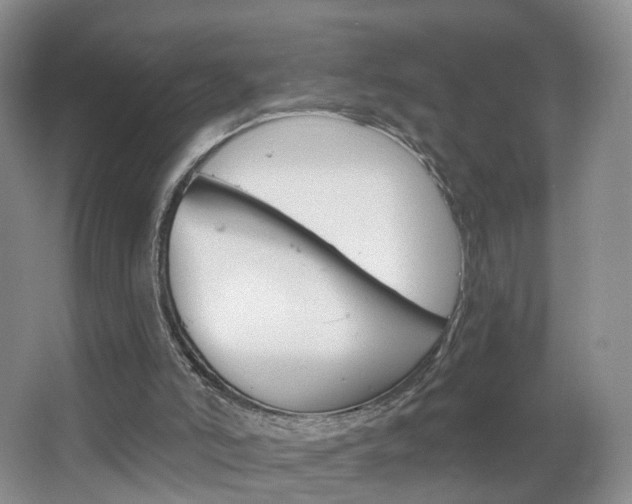 X0000066930006200603240921