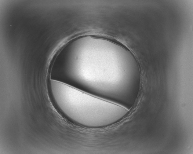 X0000066930007200603240920