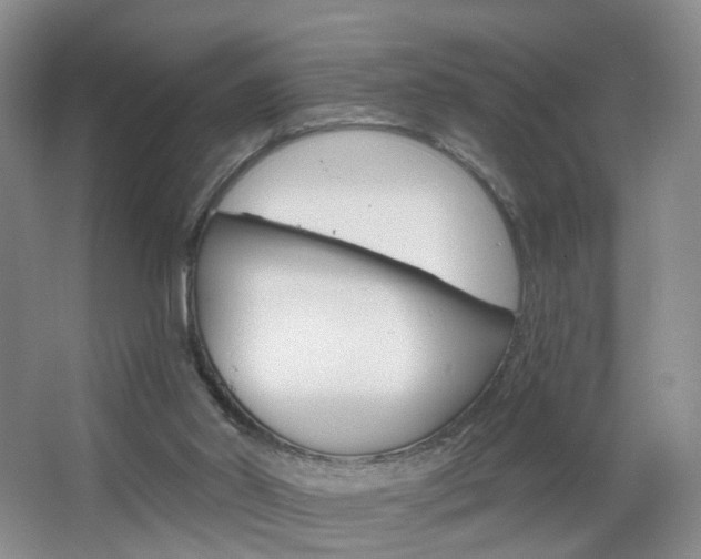 X0000066930014200603240920