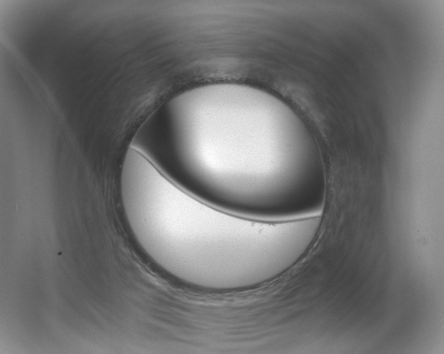X0000066930017200603240920