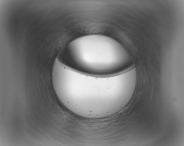 X0000066930025200603240920