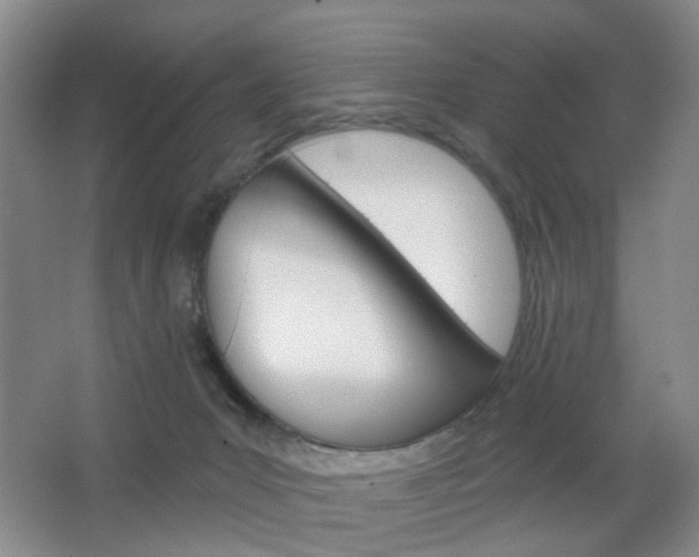 X0000066930031200603240920