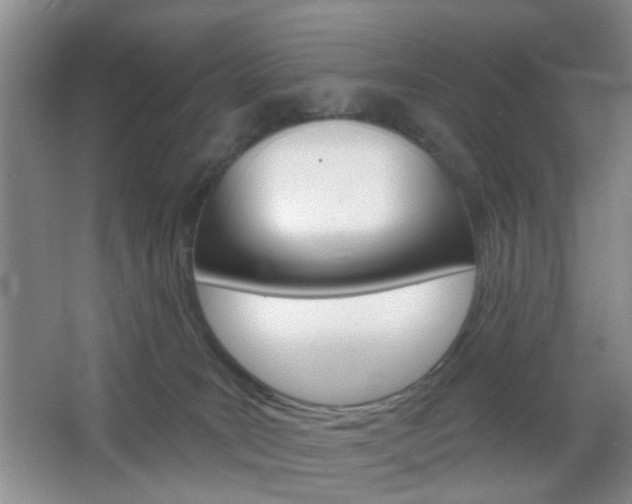 X0000066930035200603240920