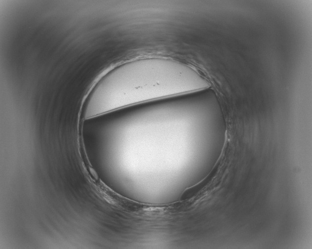 X0000066930052200603240919