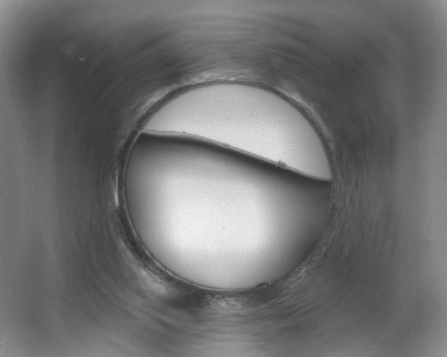 X0000066930062200603240919