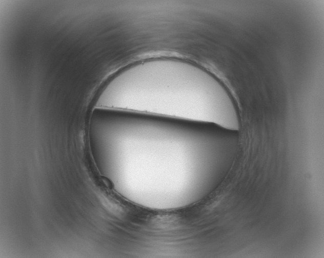 X0000066930063200603240919