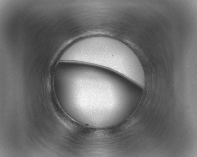 X0000066930064200603240919
