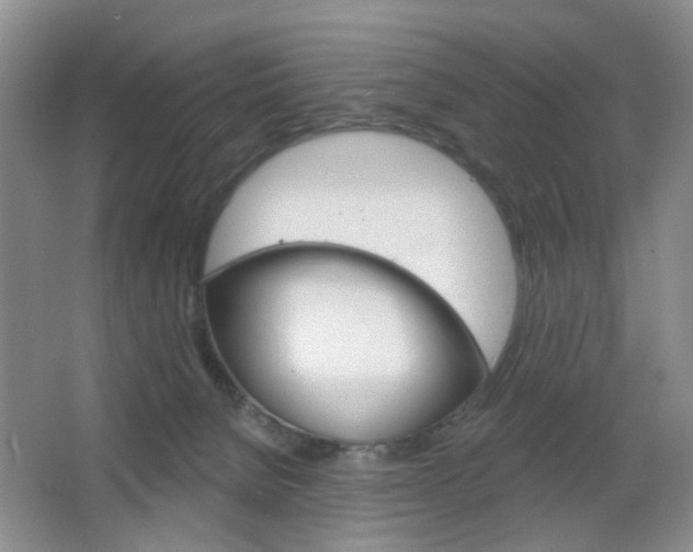 X0000066930080200603240920