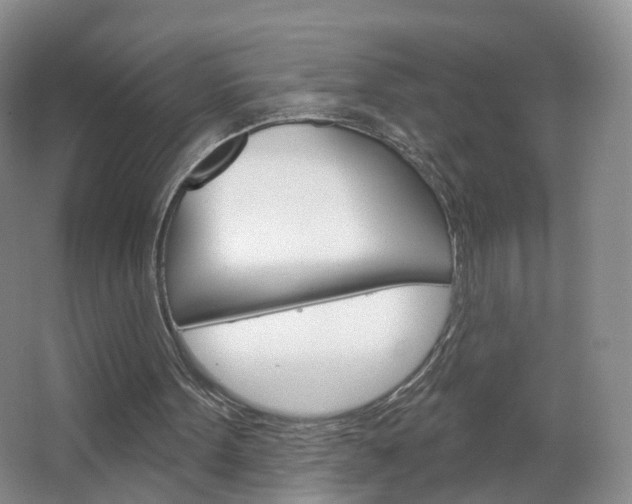 X0000066930099200603240919