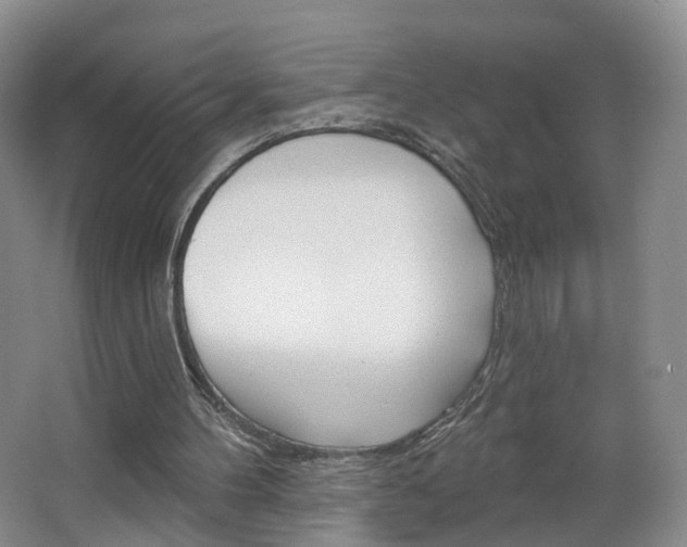 X0000066930100200603240919