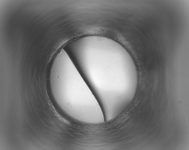 X0000066930106200603240919