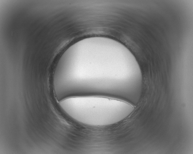 X0000066930112200603240919