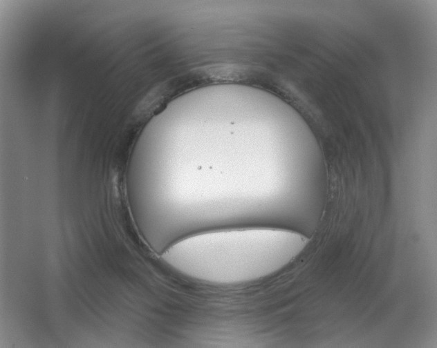 X0000066930117200603240919