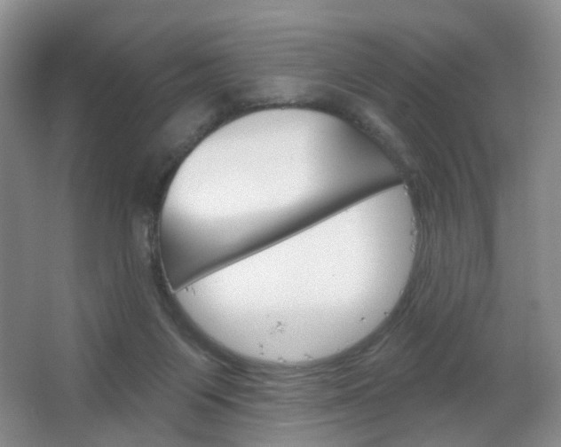 X0000066930119200603240919