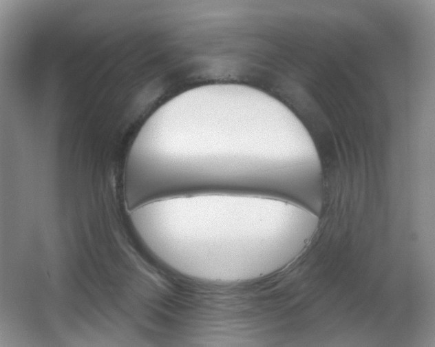 X0000066930120200603240919